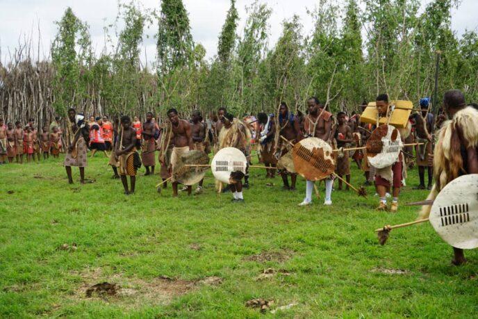 African Traditional & Heritage Carnivals